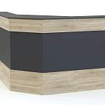 Ресепшен Рейна №13 BMS - Фото 6